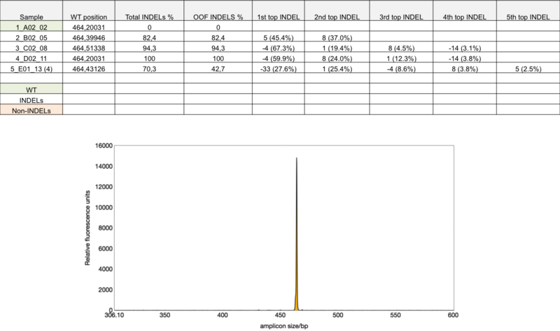 What is included in the standard InDel Data Report?