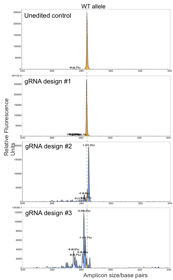 CIPP - gRNA Validation (example)