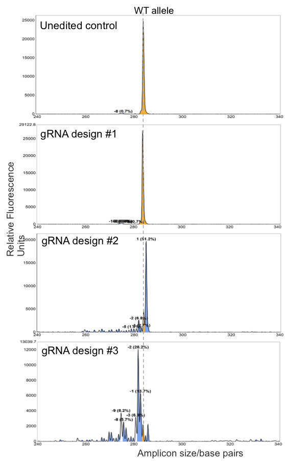 gRNA Validation