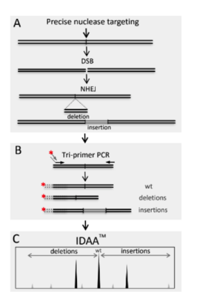 CIPP-IDAA